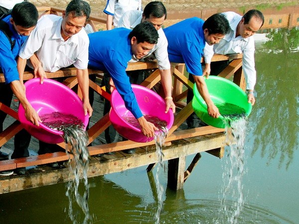 Bạc Liêu thả 5 triệu con tôm giống ra biển